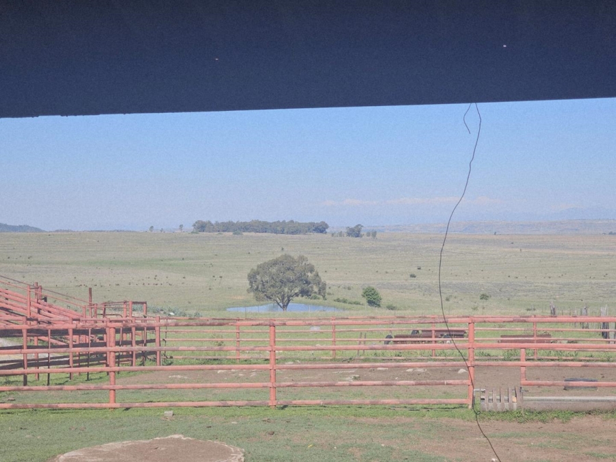 17 Bedroom Property for Sale in Ladybrand Free State